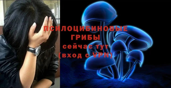 таблы Алексеевка