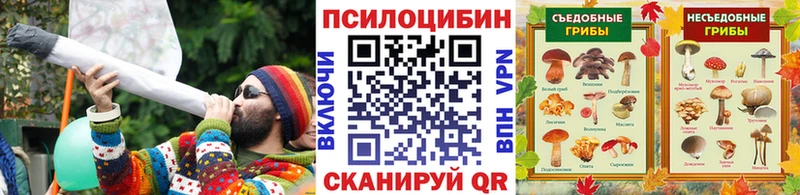 что такое наркотик Невинномысск Галлюциногенные грибы Cubensis