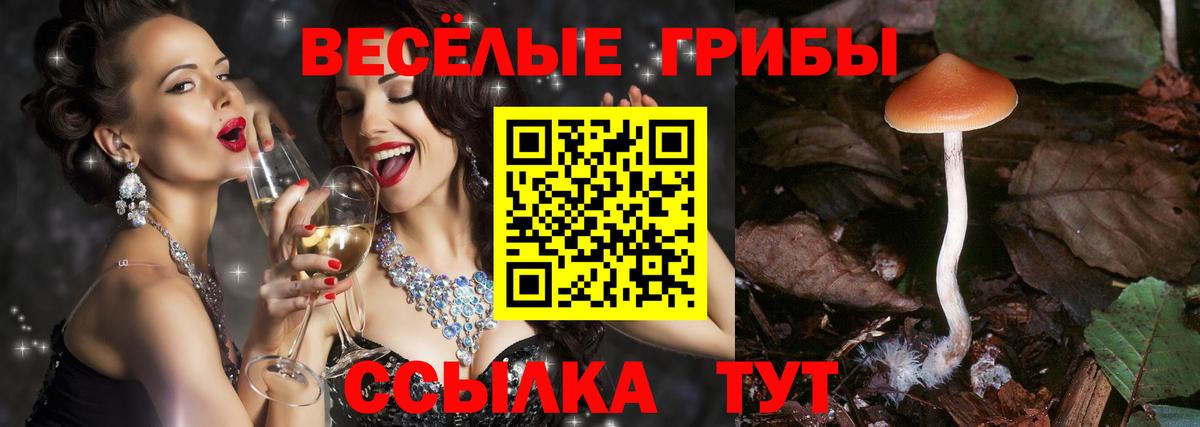 Псилоцибиновые грибы прущие грибы  Вход с VPN  Галлюциногенные грибы Psilocybine cubensis  Невинномысск 
