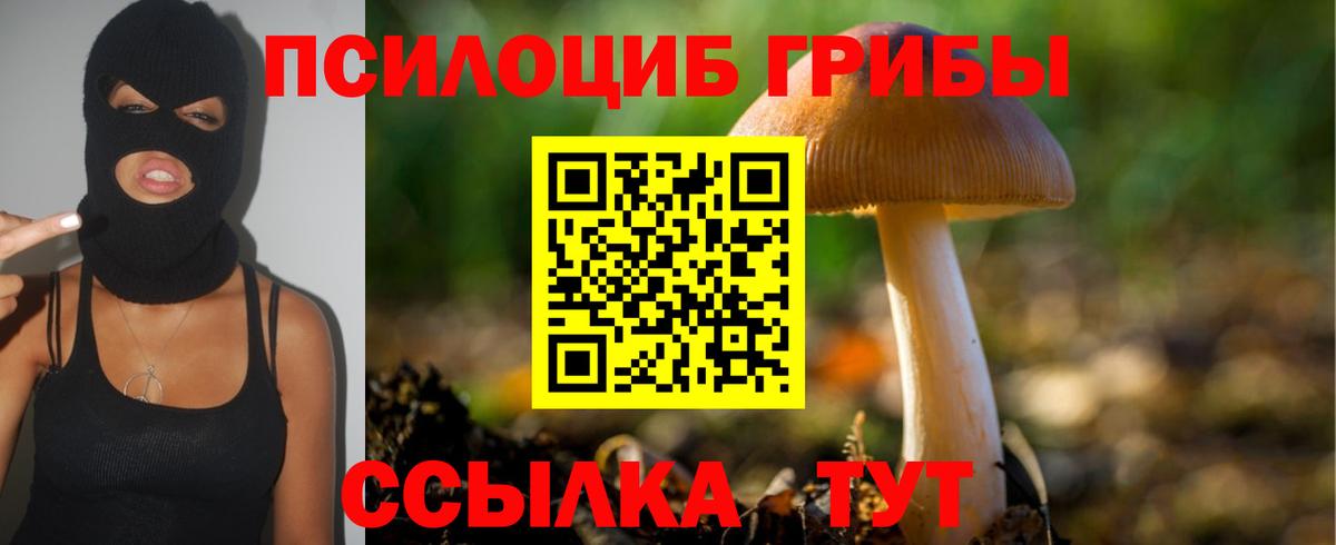 Псилоцибиновые грибы Psilocybine cubensis Невинномысск